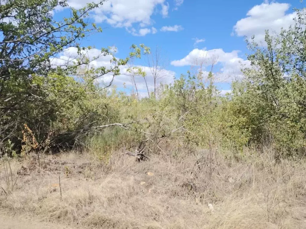 Участок в Ростовская область, Новочеркасск № 16 садовое товарищество, ... - Фото 1