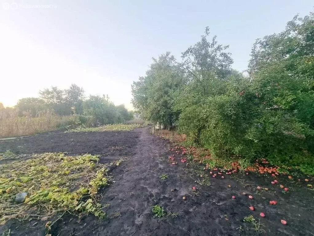 Участок в Белгород, Выгонная улица (13.4 м) - Фото 1