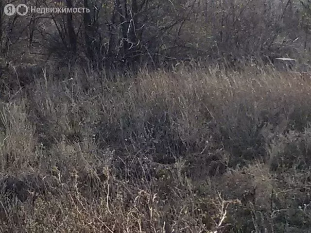 Участок в Волгоградская область, рабочий посёлок Городище, коттеджный ... - Фото 0