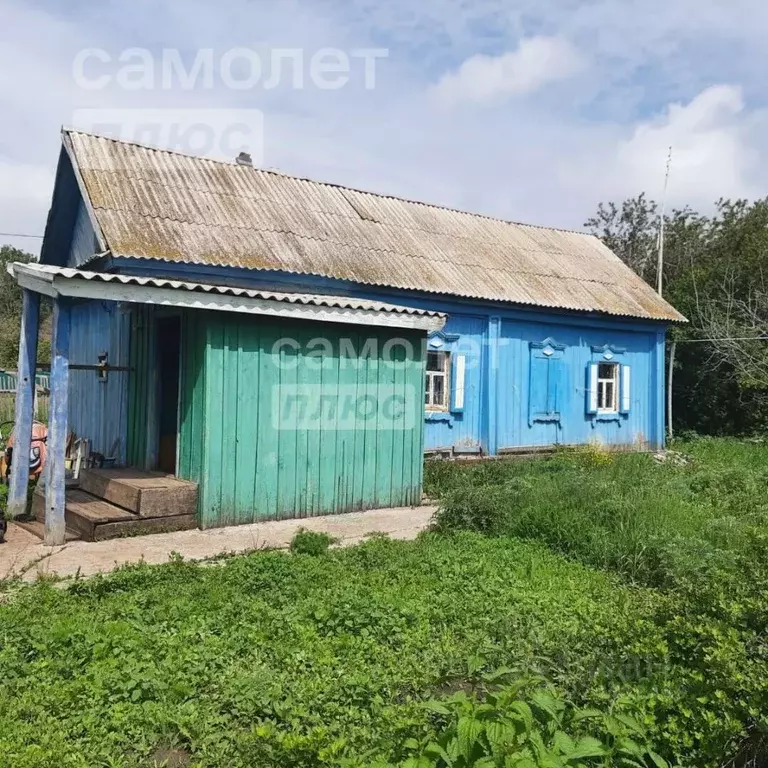 Дом в Башкортостан, Куюргазинский район, с. Кривле-Илюшкино ... - Фото 1