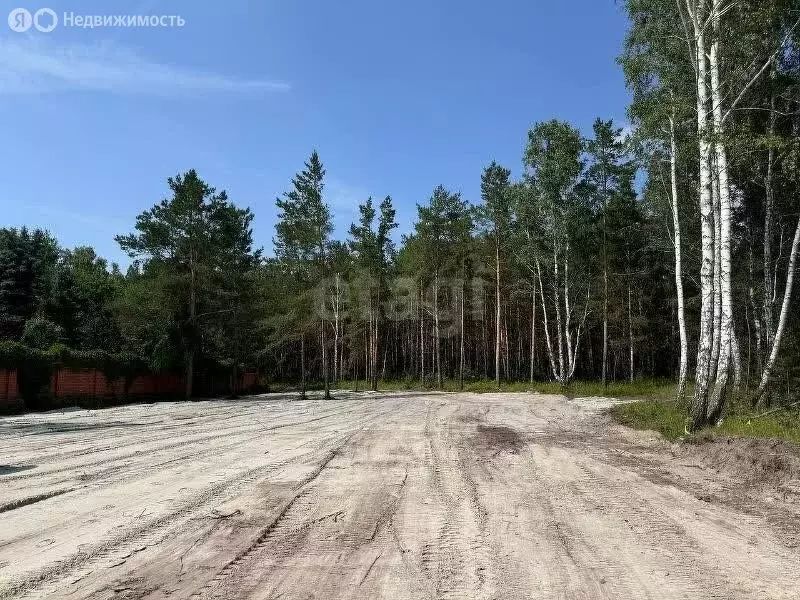 Участок в Тюменский муниципальный округ, СНТ Искра-1 (19 м) - Фото 2