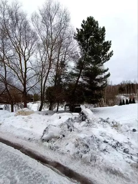 Участок в Калужская область, Калуга городской округ, д. Желыбино ул. ... - Фото 2