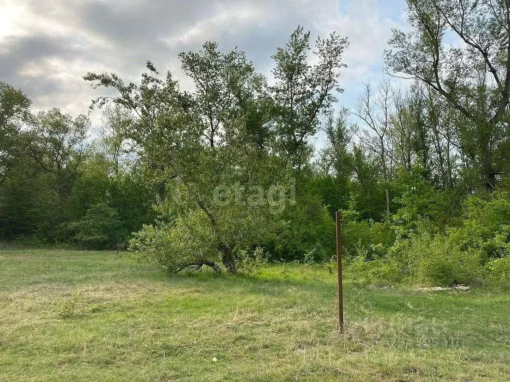 Участок в Адыгея, Майкопский район, Даховская ст-ца Советская ул. ... - Фото 0