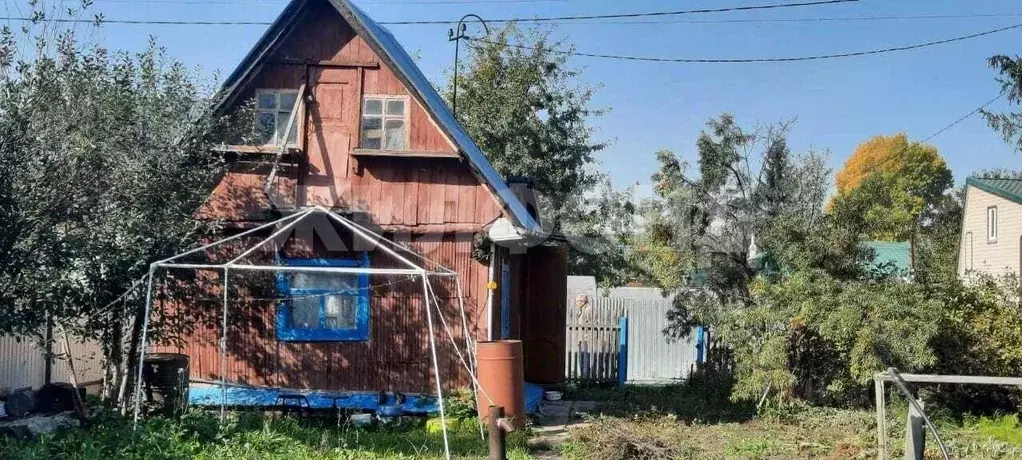 Дом в Новосибирская область, Новосибирск  (25 м) - Фото 1