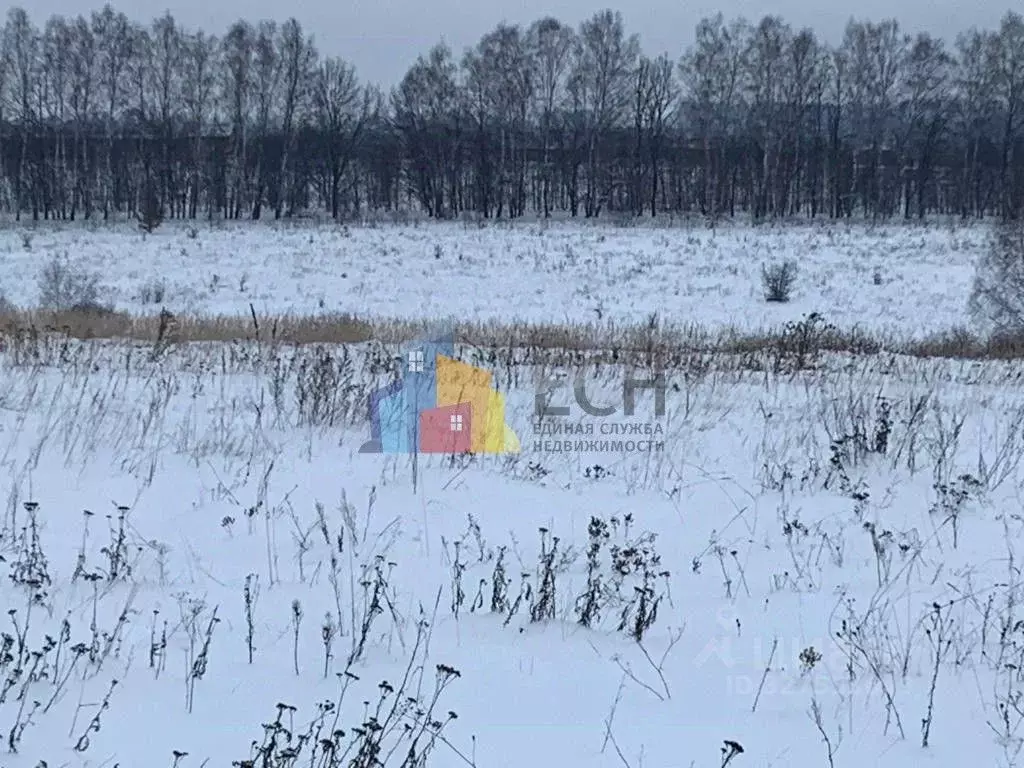 Участок в Тульская область, Тула городской округ, пос. Рассвет  (12.0 ... - Фото 1