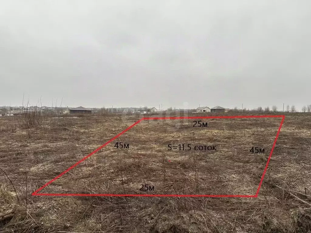 Участок в Брянская область, Брянский район, Отрадненское с/пос, с. ... - Фото 1