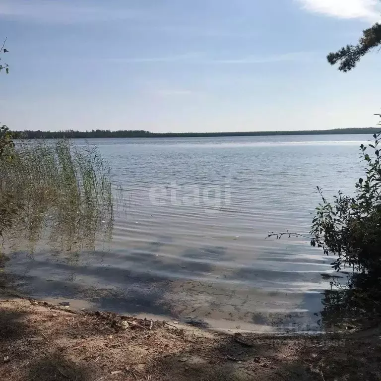 Участок в Костромская область, Костромской район, Минское с/пос, ... - Фото 0