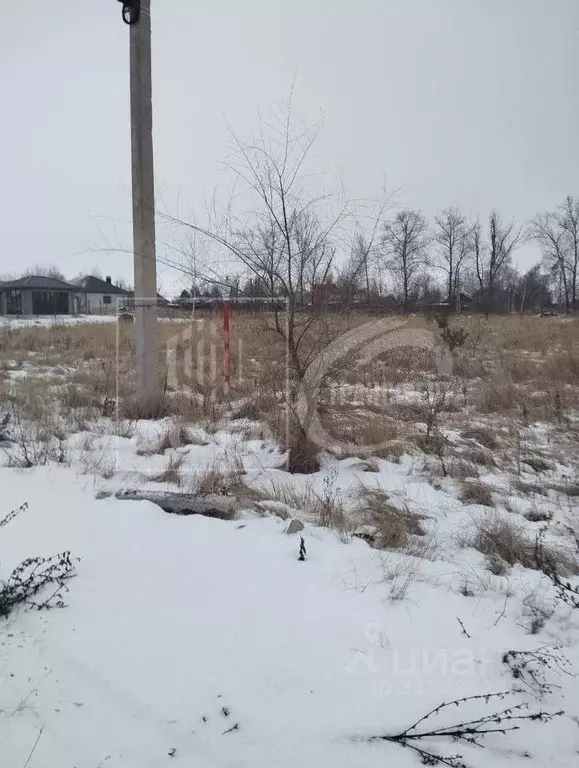 Участок в Воронежская область, Новоусманский район, с. Орлово ул. ... - Фото 0