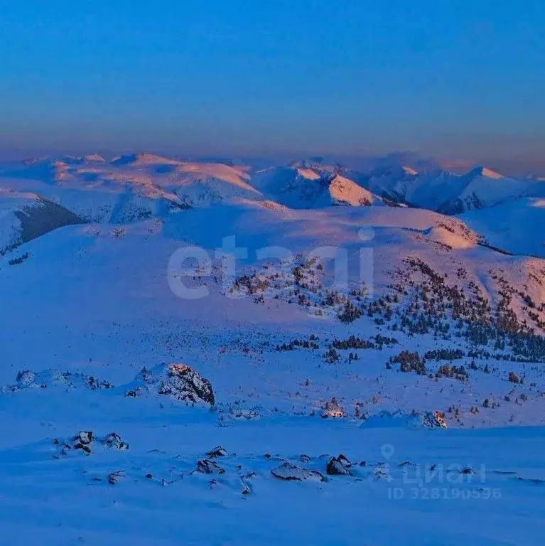 Участок в Алтай, Чемальский район, Элекмонарское с/пос, с. Элекмонар  ... - Фото 1