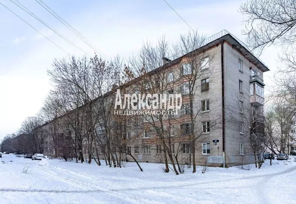 1-к кв. Санкт-Петербург ул. Дудко, 29К1 (29.0 м) - Фото 1