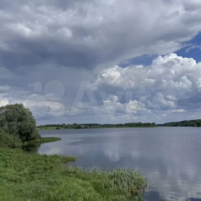 Участок 9 сот. (СНТ, ДНП) - Фото 0