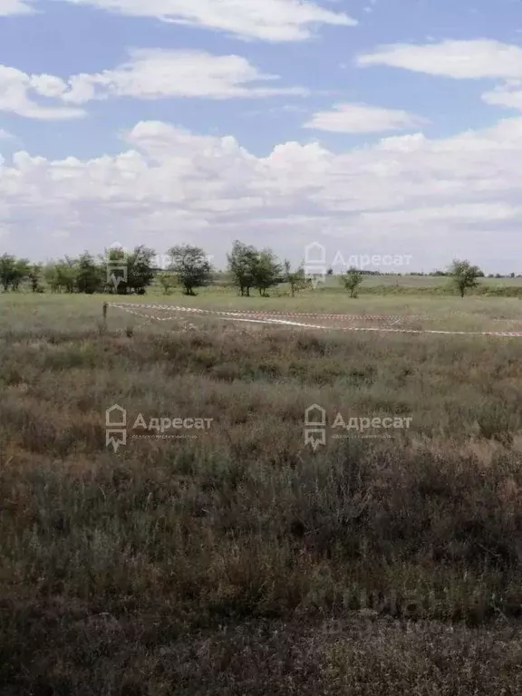 Участок в Волгоградская область, Светлоярский район, Дубовоовражное ... - Фото 0