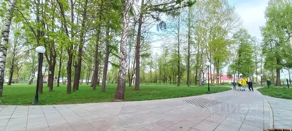 Студия Удмуртия, Ижевск Заречное ш., 19 (25.0 м) - Фото 0