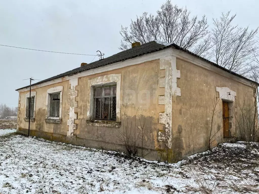 Дом в Новгородская область, Солецкий муниципальный округ, д. Доворец  ... - Фото 1