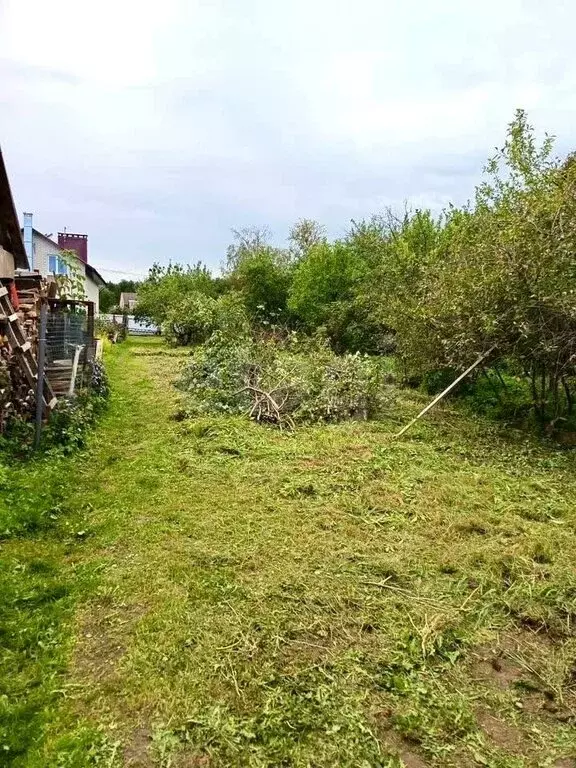 Участок в Кострома, садоводческое товарищество Заря Коммунизма (7.1 м) - Фото 2