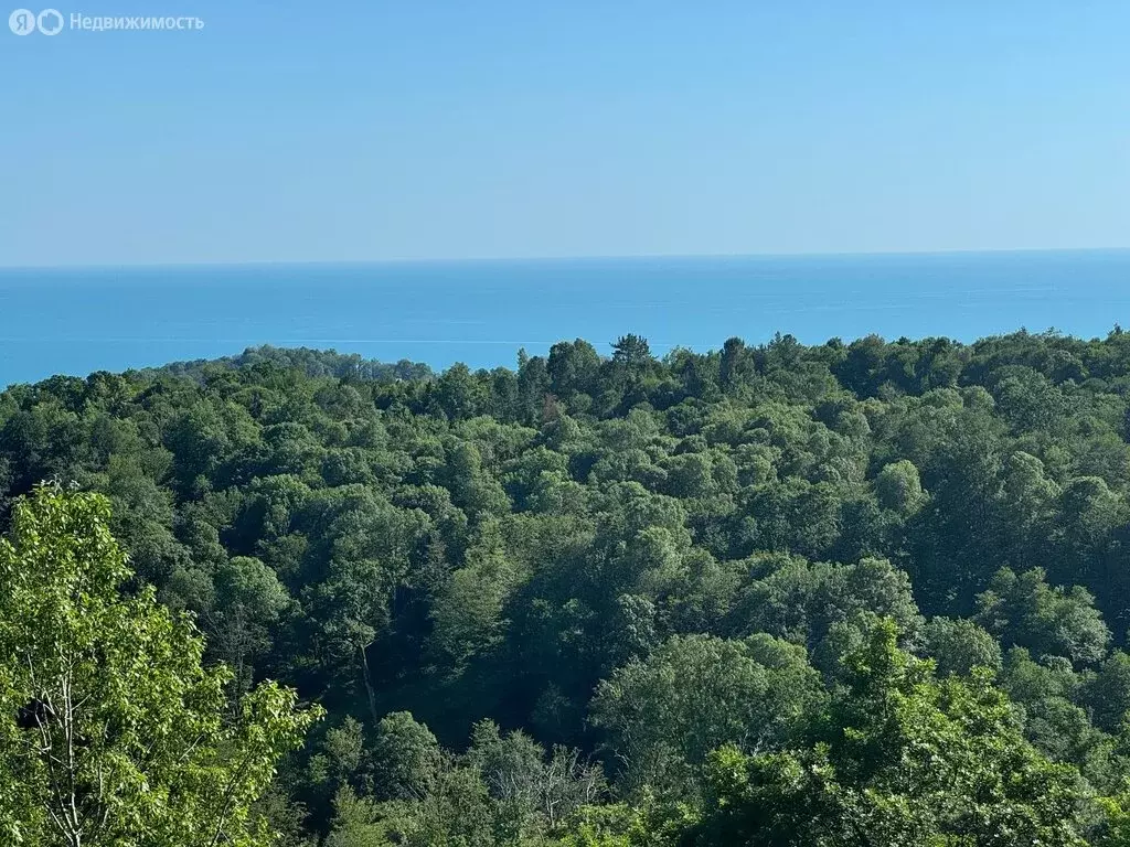 Дом в Краснодарский край, Сочи (180 м) - Фото 2