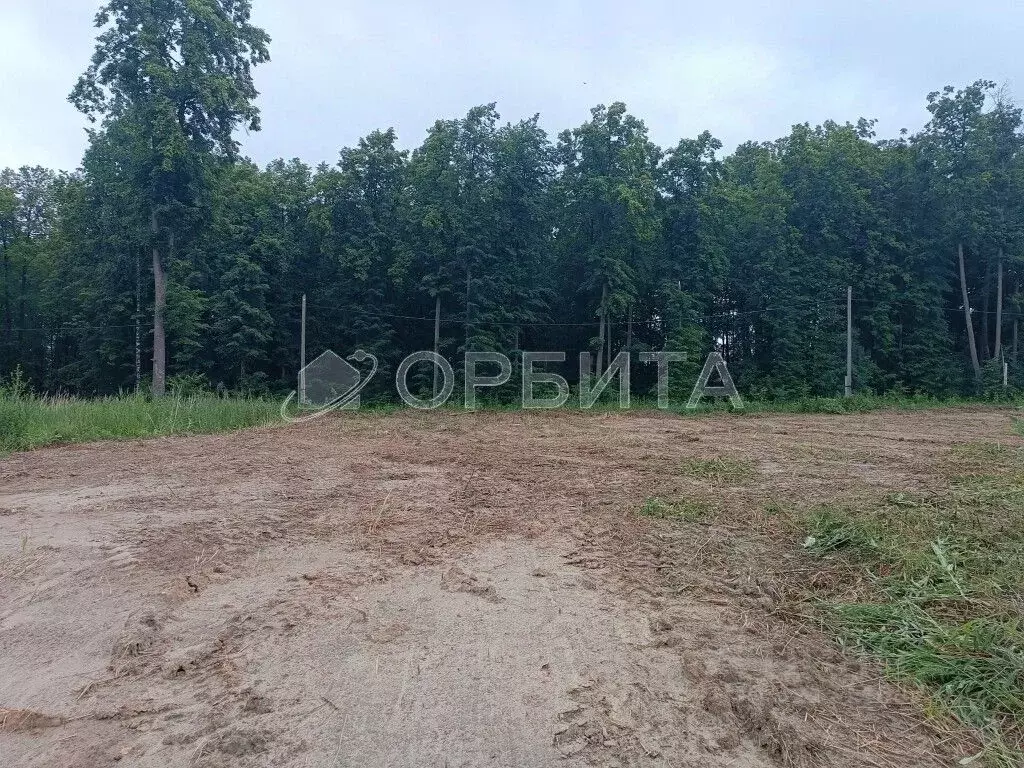 Участок в Тюменская область, Нижнетавдинский район, д. Штакульская  ... - Фото 0