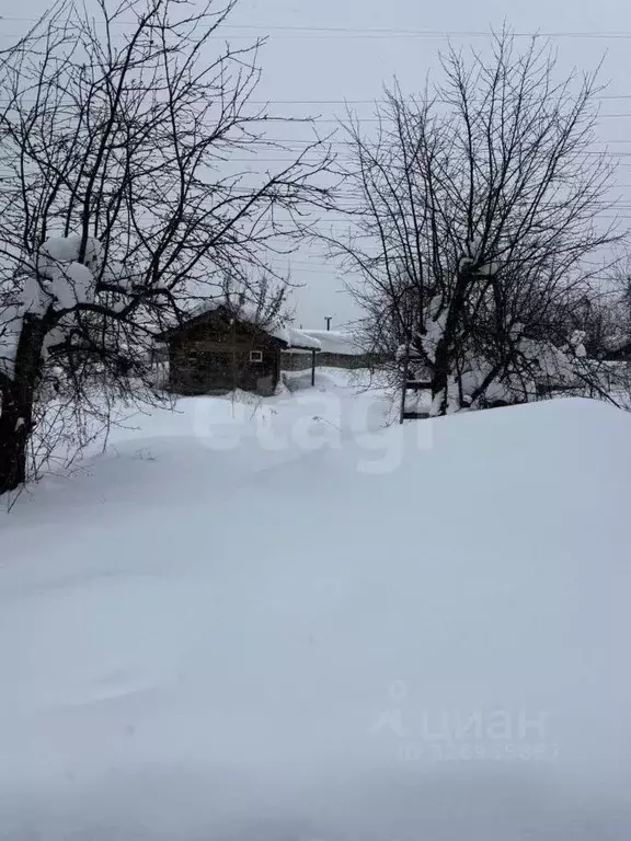 Участок в Нижегородская область, Нижний Новгород Имени К.А. Тимирязева ... - Фото 1