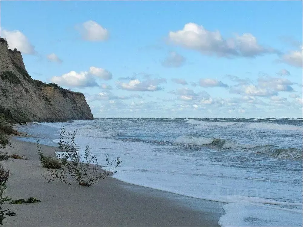 Участок в Калининградская область, Светлогорский городской округ, пос. ... - Фото 2