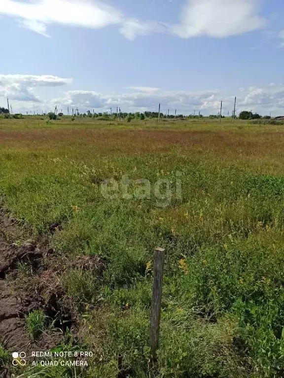 Участок в Ульяновская область, Чердаклы рп ул. Камышинская (8.0 сот.) - Фото 0