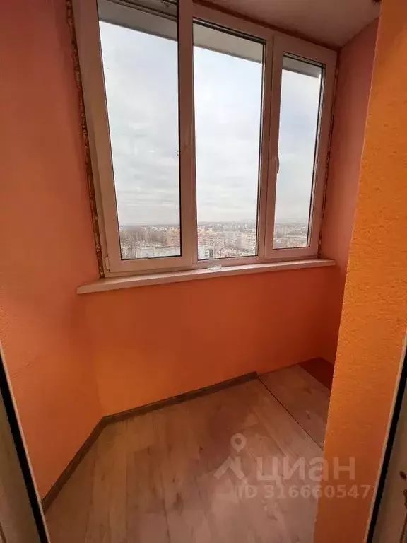 Студия Саратовская область, Энгельс ул. Пушкина, 87 (35.0 м) - Фото 0