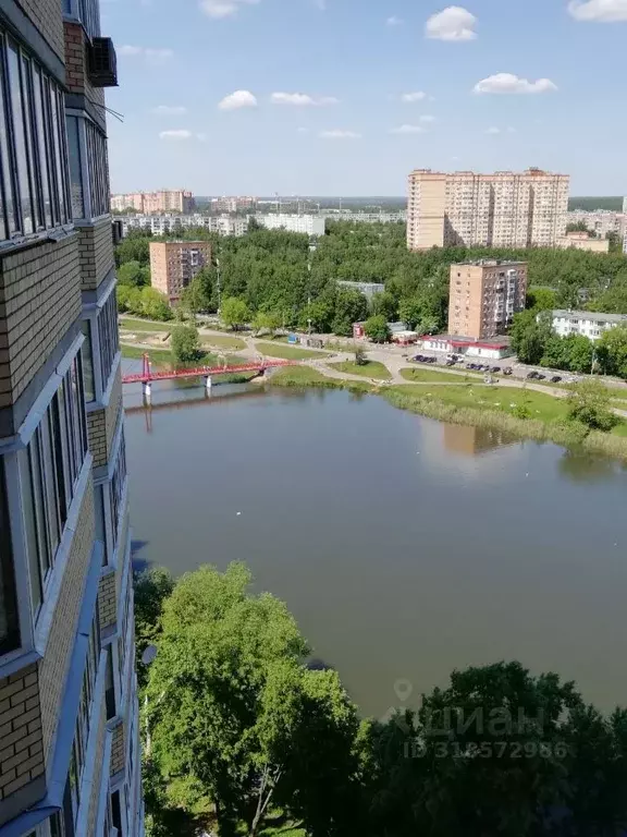 1-к кв. Московская область, Пушкино проезд 2-й Фабричный, 16 (44.0 м) - Фото 0