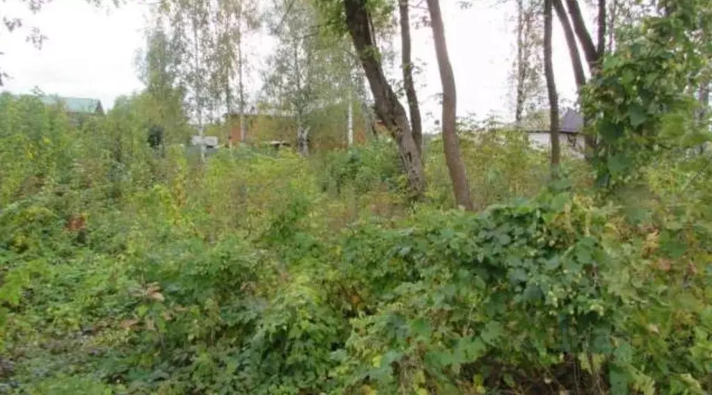 Участок в Московская область, Озеры Коломна городской округ, ул. ... - Фото 1