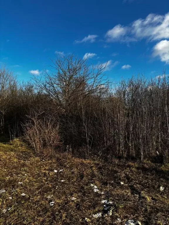 Участок в Московская область, Павловский Посад Мишутино мкр,  (9.37 ... - Фото 1