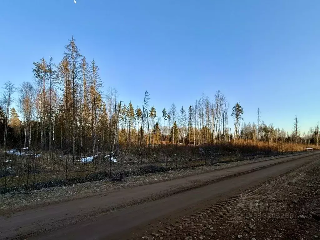 Участок в Новгородская область, Валдай ул. Алексея Маресьева, 78 (15.0 ... - Фото 2