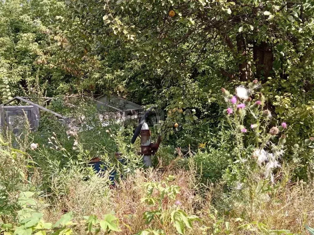 Участок в Башкортостан, Стерлитамак Опытник СНТ,  (4.38 сот.) - Фото 1