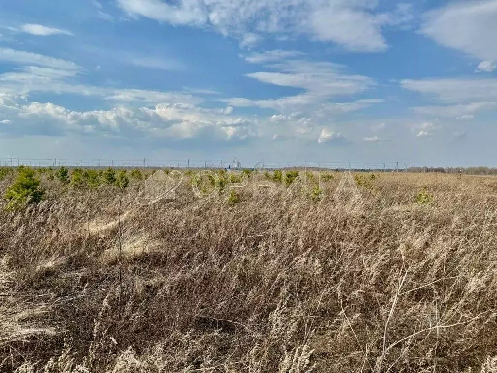Участок в Тюменская область, Тюменский район, д. Есаулова ул. Гайдара, ... - Фото 2