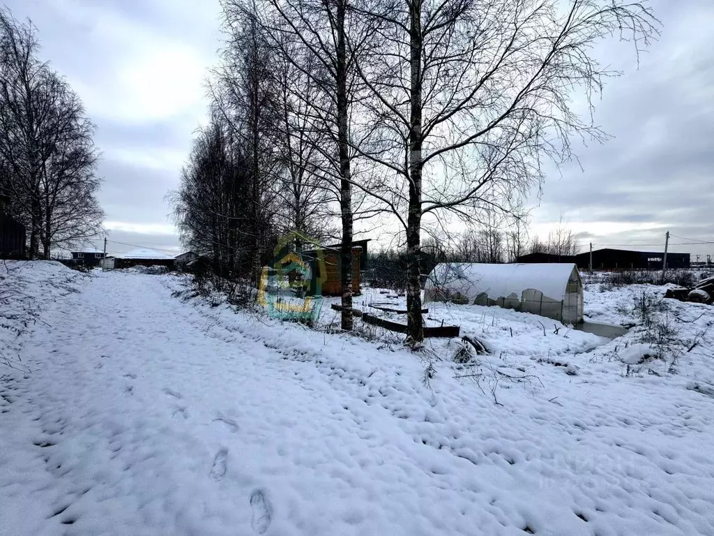 Участок в Ленинградская область, Всеволожский район, Колтушское ... - Фото 2