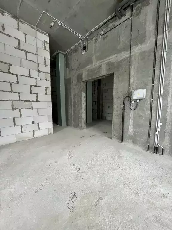 Помещение свободного назначения в Московская область, Котельники Новая ... - Фото 2