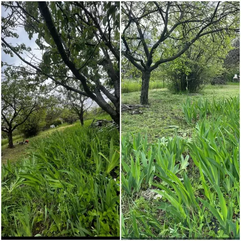 Участок в Ростовская область, Неклиновский район, Синявское с/пос, ... - Фото 2
