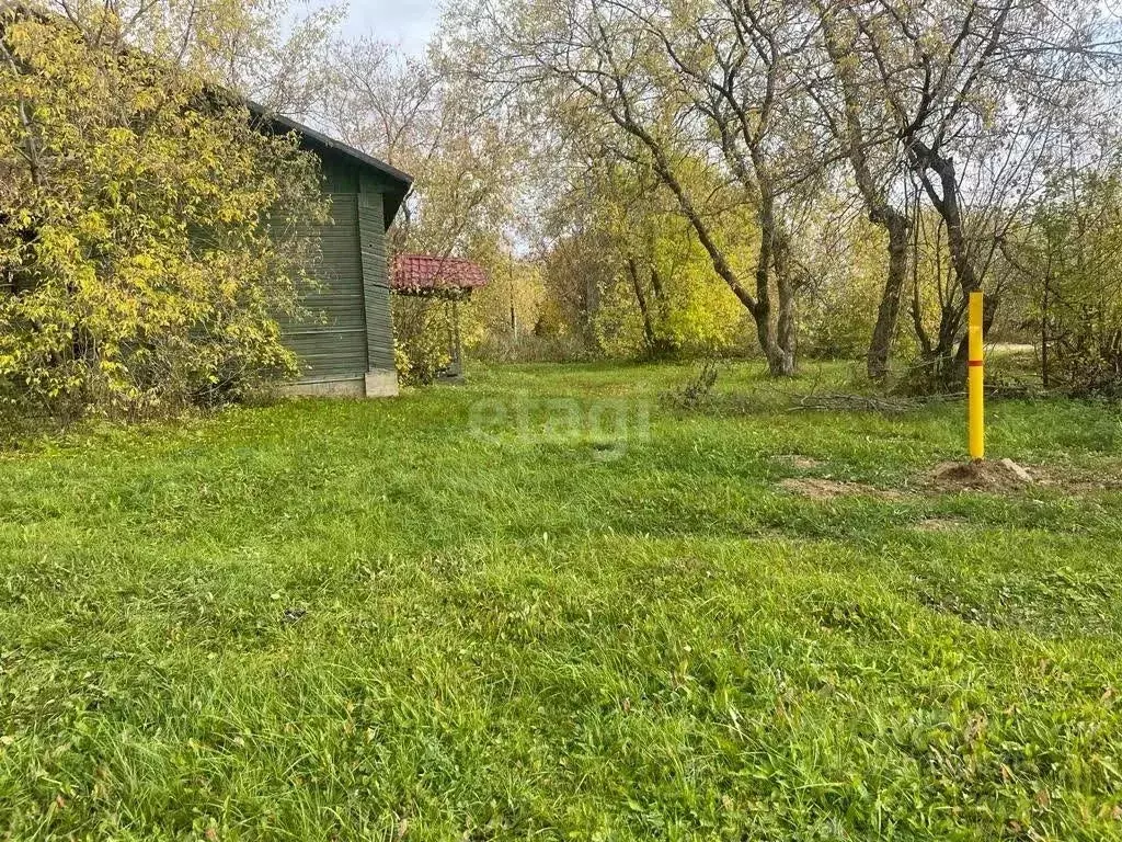 Участок в Вологодская область, Шекснинский муниципальный округ, д. ... - Фото 1