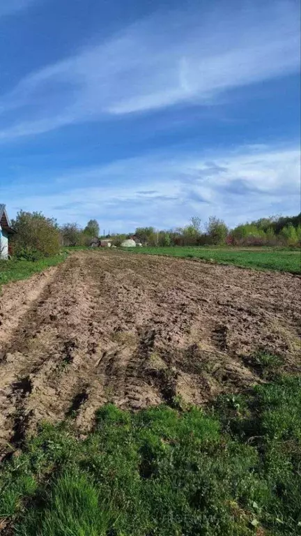 Участок в Нижегородская область, Городецкий муниципальный округ, с. ... - Фото 1
