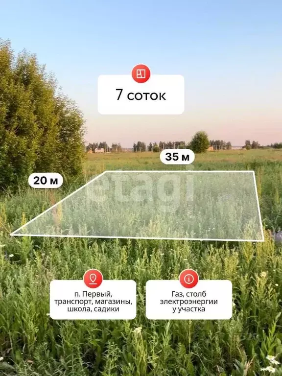 Участок в Костромская область, Кострома Соколиное Гнездо кп, 1 (7.04 ... - Фото 1