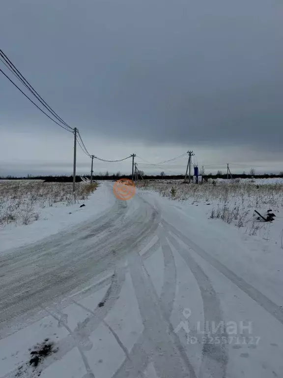Участок в Тюменская область, Тюменский муниципальный округ, ... - Фото 1