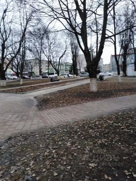 1-к кв. Белгородская область, Губкин ул. Кирова, 48 (33.0 м) - Фото 1