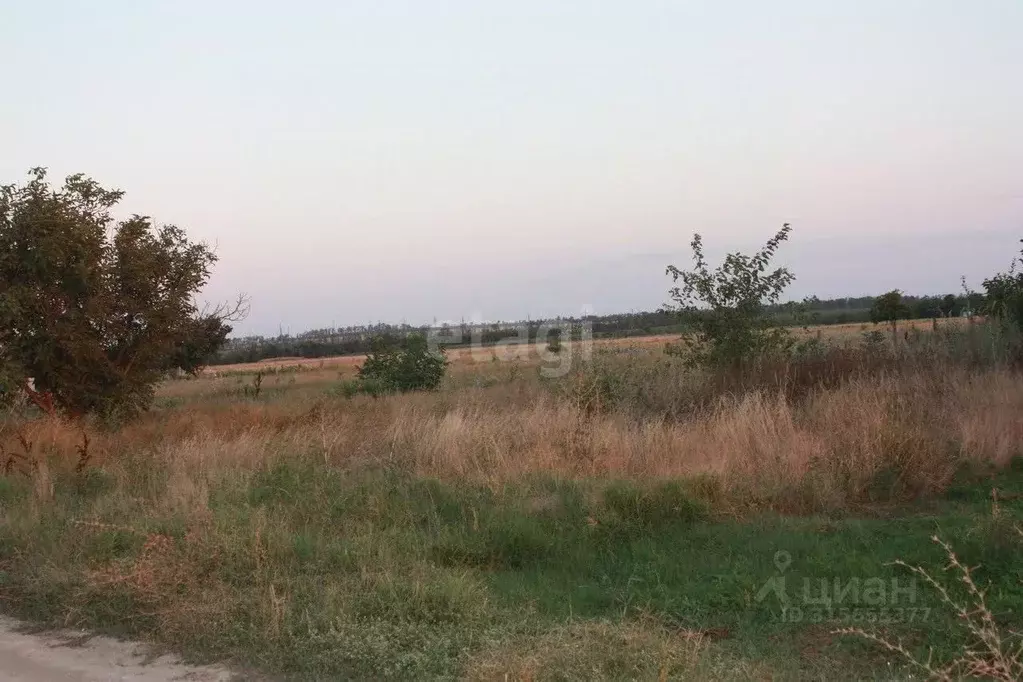 Участок в Архангельская область, Котласский муниципальный округ, д. ... - Фото 0