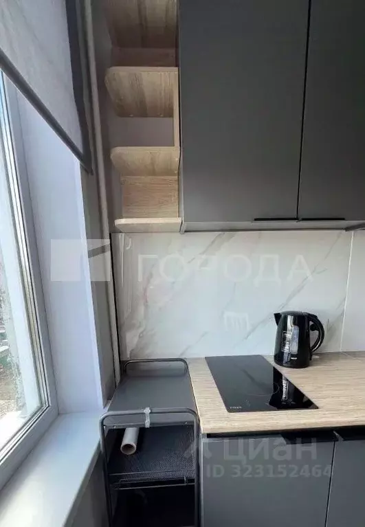 1-к кв. Новосибирская область, Новосибирск Затулинский жилмассив, ул. ... - Фото 2