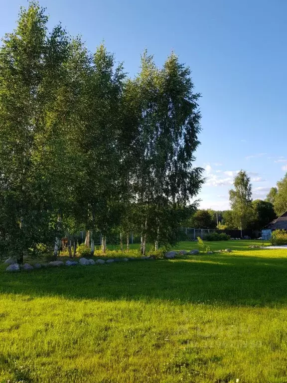 Участок в Московская область, Подольск городской округ, пос. Сосновый ... - Фото 1