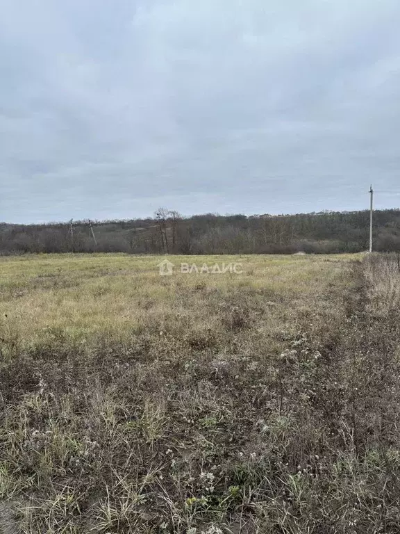 Участок в Белгородская область, Белгородский район, Крутологское ... - Фото 1