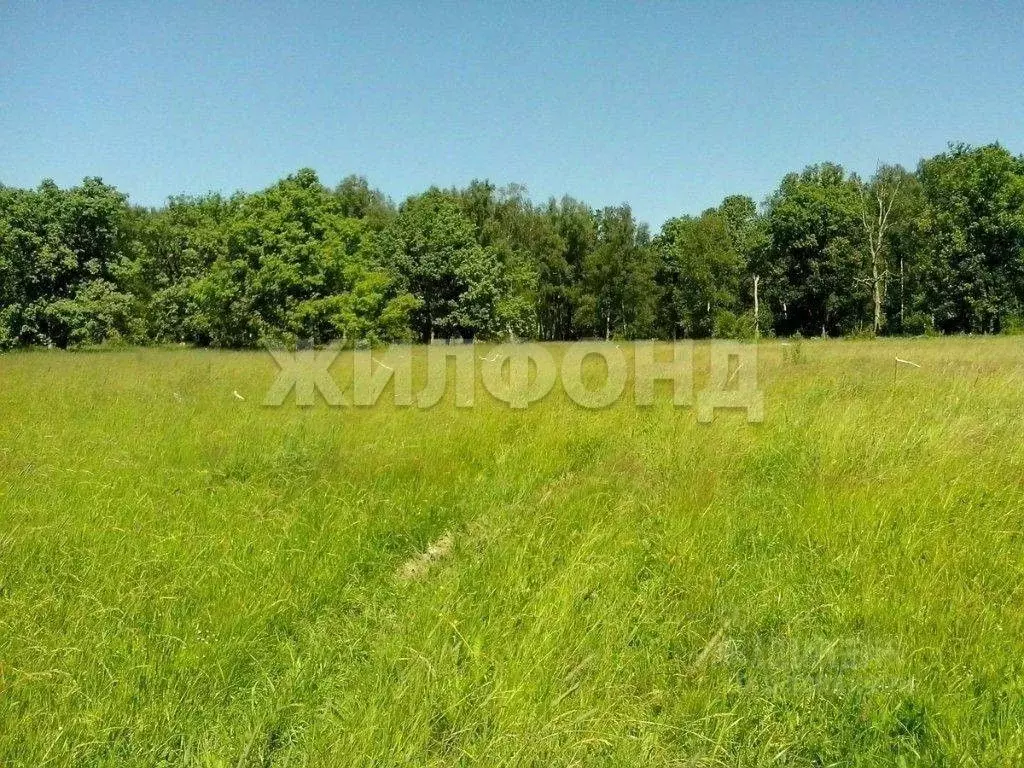 Участок в Новосибирская область, Тогучинский район, Горный рп  (10.41 ... - Фото 1