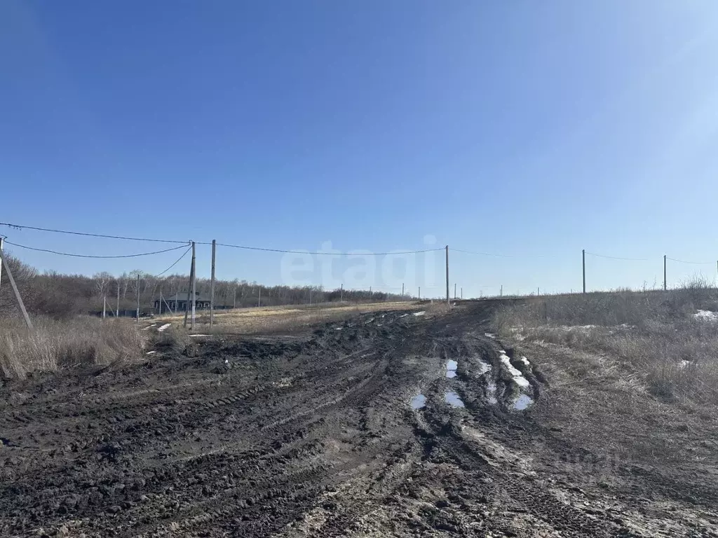 Участок в Белгородская область, Белгородский район, Дубовское с/пос, ... - Фото 2