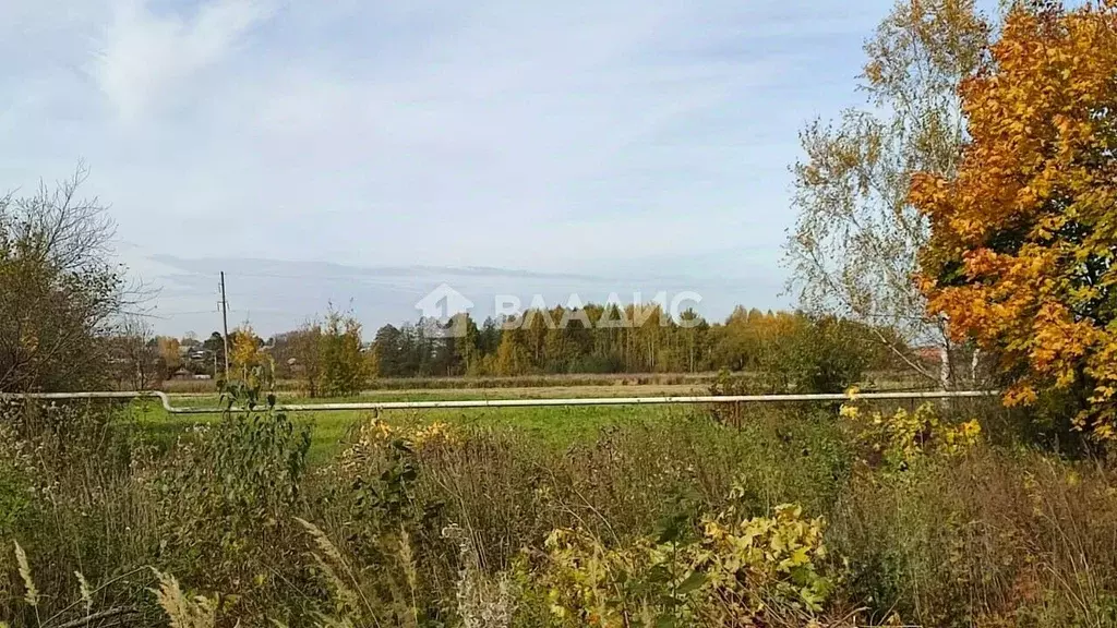 Участок в Марий Эл, Медведевский район, Шойбулакское с/пос, д. ... - Фото 1