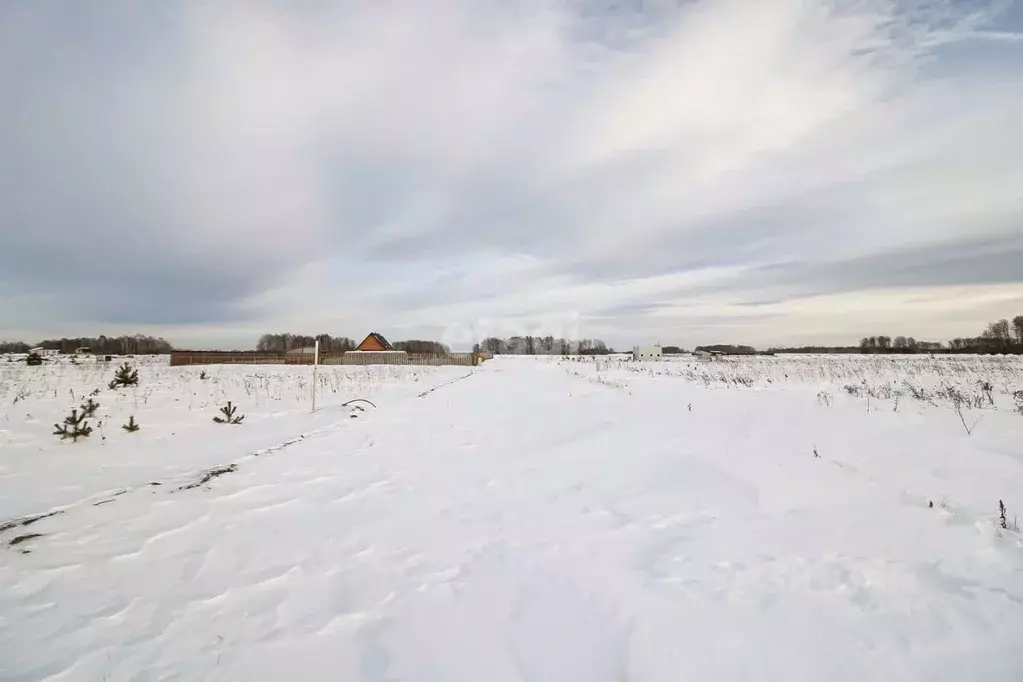 Участок в Тюменская область, Тюменский район, Новокаменский кп ул. ... - Фото 0