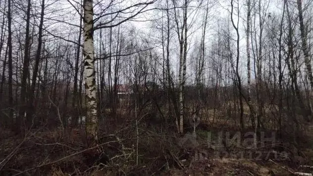 Участок в Московская область, Серпухов городской округ, пос. Большевик ... - Фото 0