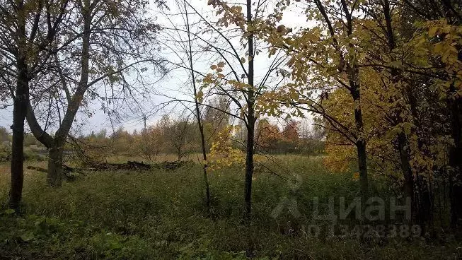 участок в новгородская область, малая вишера коммунистическая ул. . - Фото 0