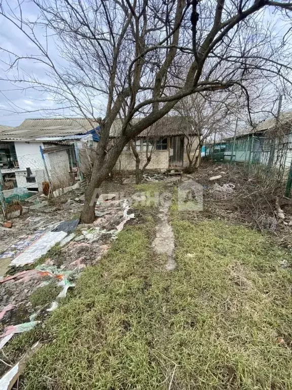 Участок в Ростовская область, Белокалитвинское городское поселение, ... - Фото 2